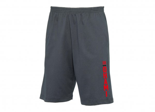 Okami Shorts Workout heather grey